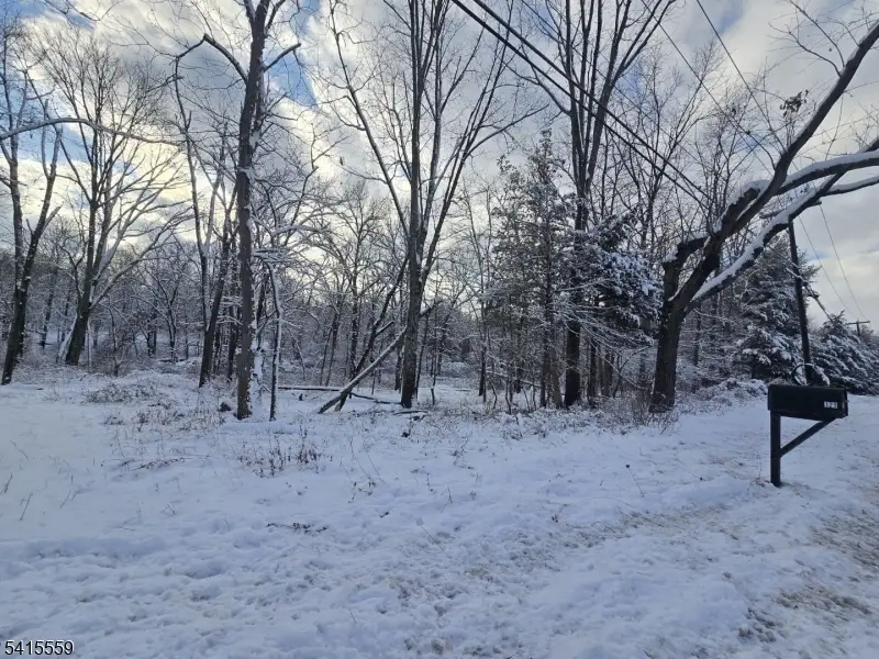 121 Bellemead Griggstown Rd, Harlingen, NJ 08502 - #2