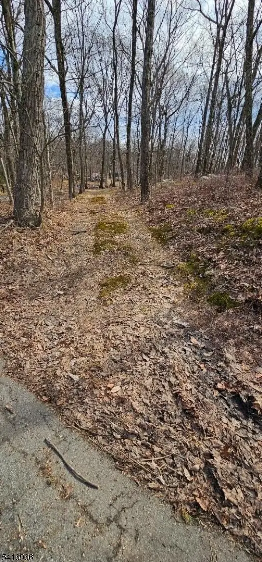 00 Upper Hibernia Rd, Rockaway, NJ 07866 - #2