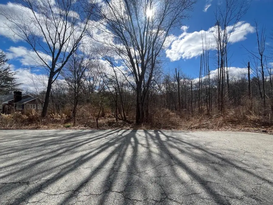 221 Old Center Grove Rd, Randolph, NJ 07869 - #2