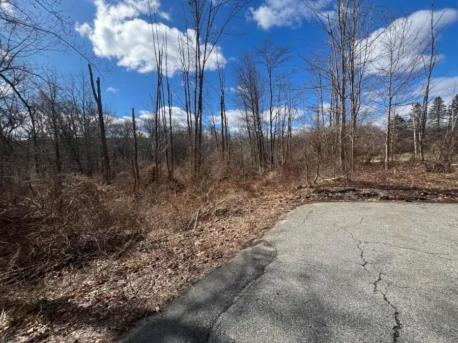 221 Old Center Grove Rd, Randolph, NJ 07869 - #3