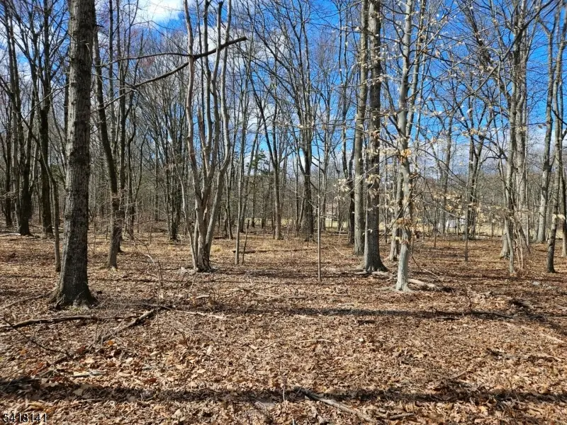 33 Featherbed Ln, Raritan, NJ 08822 - #1