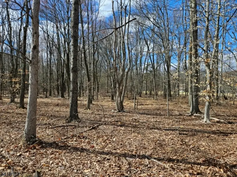 33 Featherbed Ln, Raritan, NJ 08822 - #2