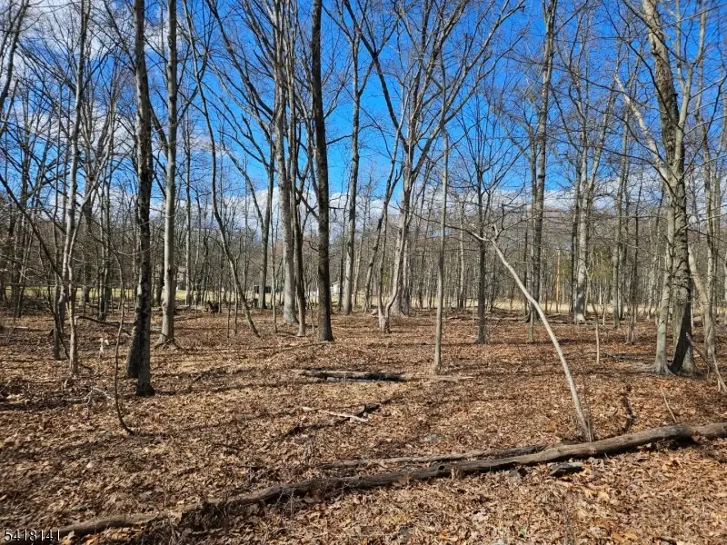 33 Featherbed Ln, Raritan, NJ 08822 - #3