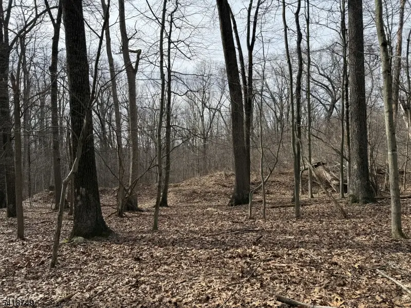 162 North Rd, Chester, NJ 07930 - #3