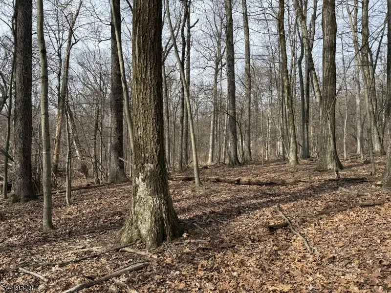 164 North Rd, Chester, NJ 07930 - #2