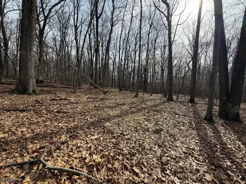 164 North Rd, Chester, NJ 07930 - #3