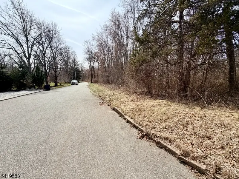 10 Loantaka Ln, Green Village, NJ 07928 - #2
