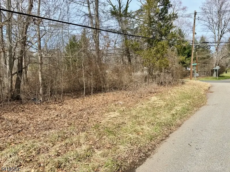10 Loantaka Ln, Green Village, NJ 07928 - #3