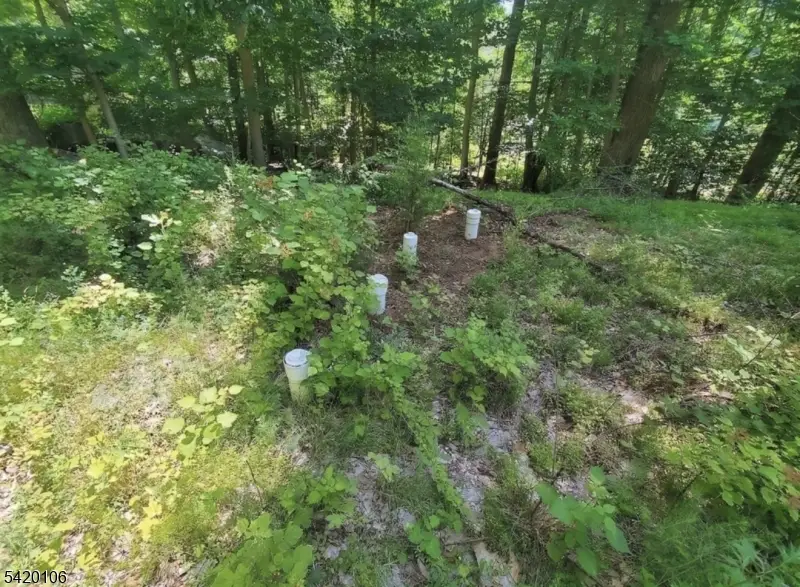 76 Skytop Rd, Andover, NJ 07860 - #2