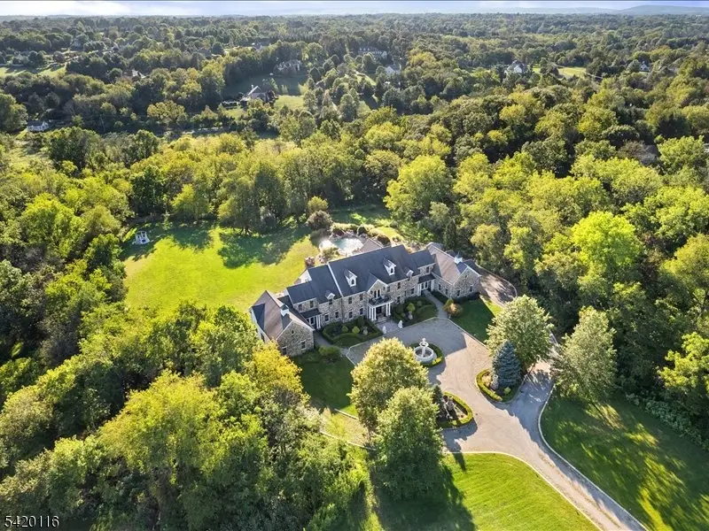 406 Caruso Ct, Neshanic Station, NJ 08853 - #3