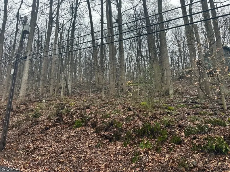 120 Millbrook Road, Franklin, NJ 07882 - #3