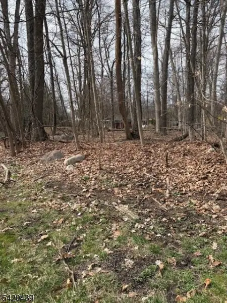 3 Wood Dale Court, Vernon, NJ 07461 - #3