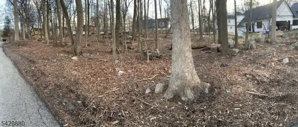 48 Mountain Rd, Hopatcong Boro, NJ 07843