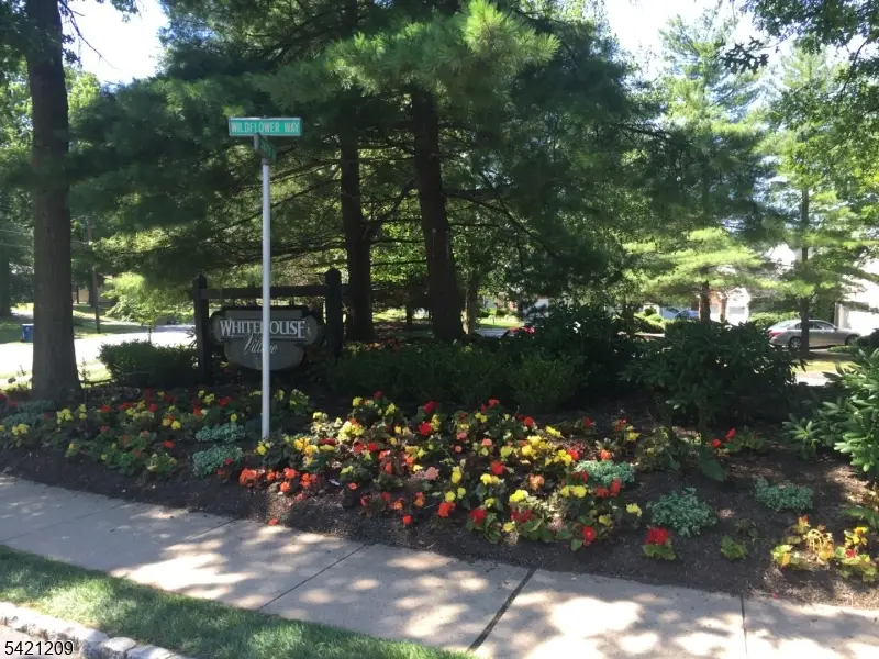 89 Violet Ct, Whitehouse Station, NJ 08889 - #1