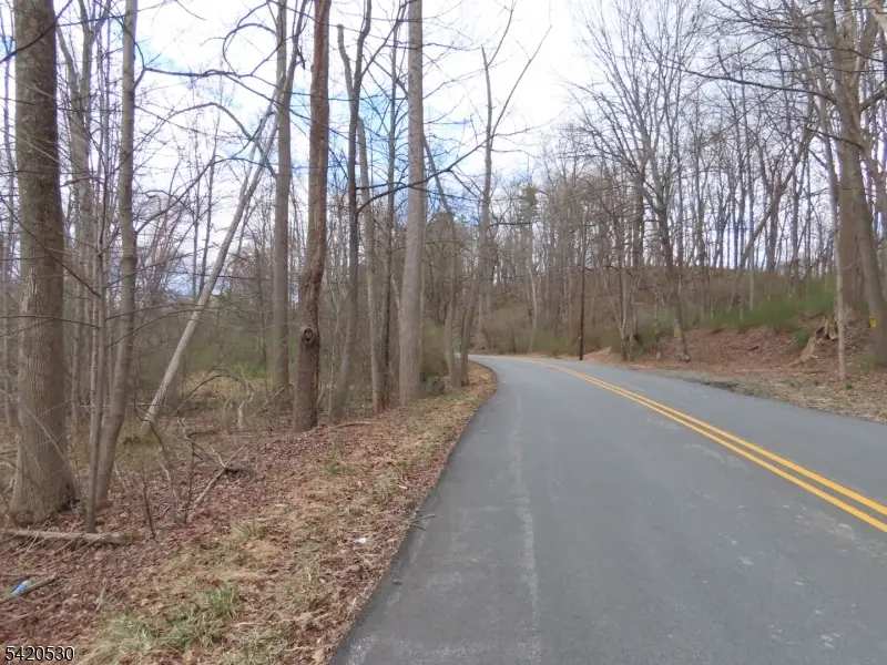 173 Hope Rd, Blairstown, NJ 07825 - #1