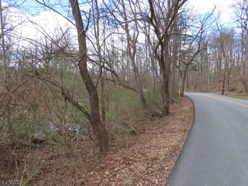 173 Hope Rd, Blairstown, NJ 07825 - #3