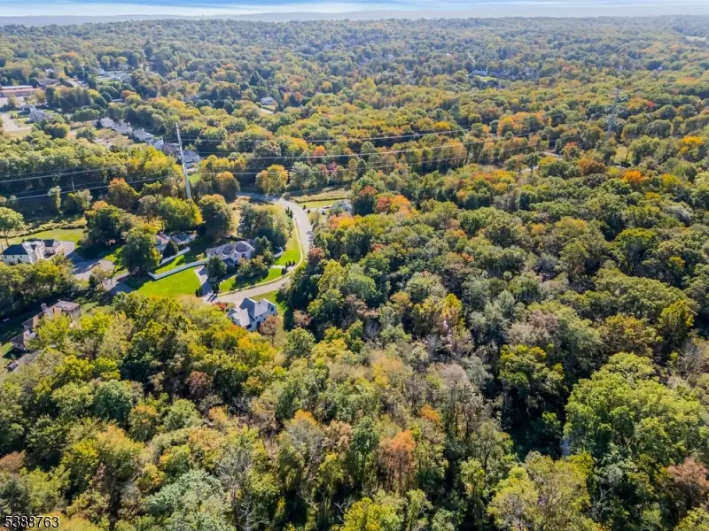 29 Schneider Ln, Montville, NJ 07045 - #3