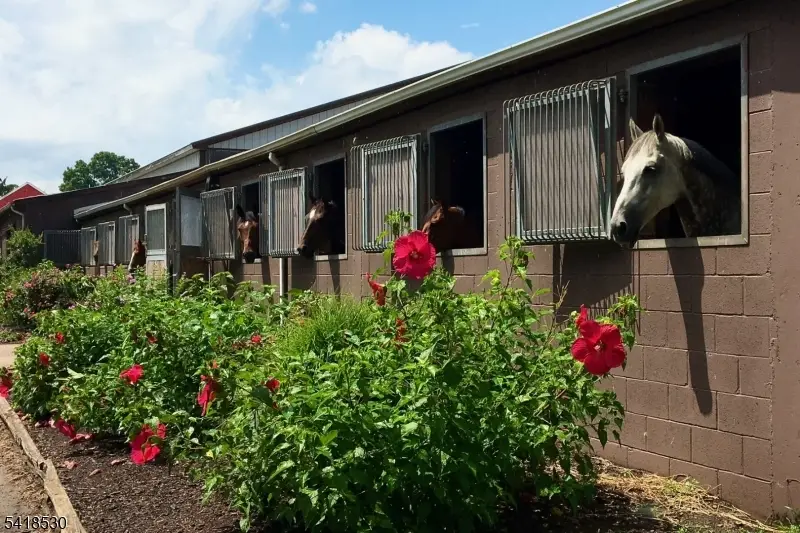 1015 Cherry Hill Rd, Montgomery, NJ 08540 - #1