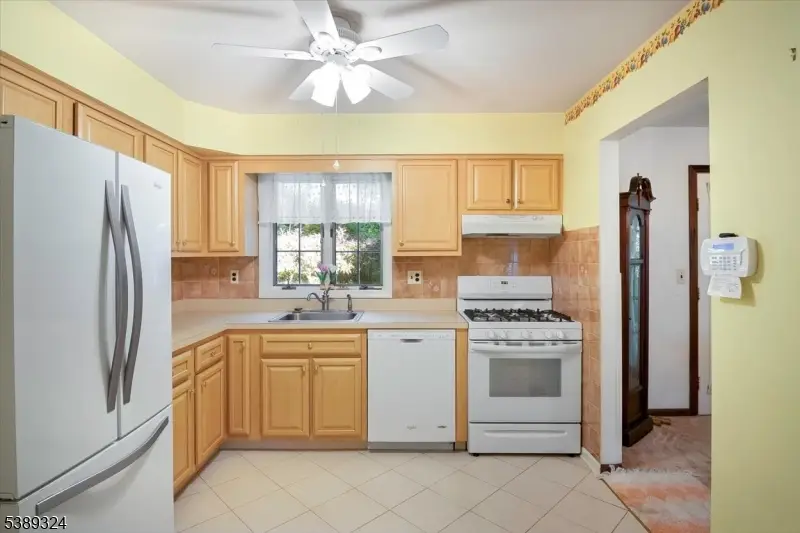 195 Mount Pleasant Ave, Rockaway, NJ 07866 - #2