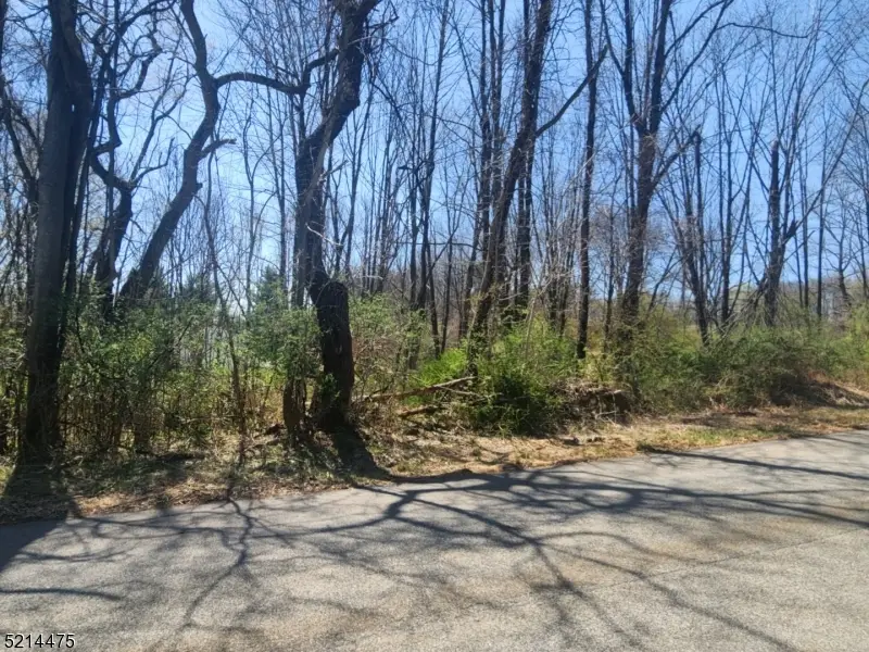 2 Fieldstone Ln, Hardyston, NJ 07416 - #3