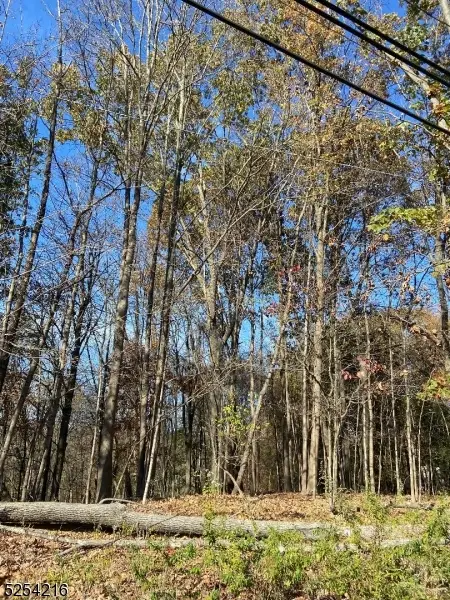 0 Terhune Dr, Pines Lake, NJ 07470 - #1