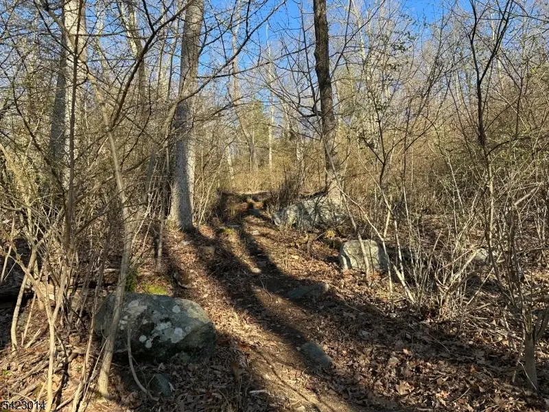 43 Hemlock Ave, Andover, NJ 07860 - #3