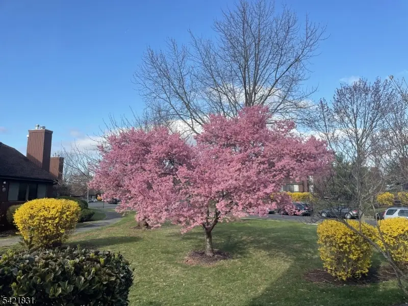 25 Bloomingdale Dr #2C, Hillsborough, NJ 08844 - #3