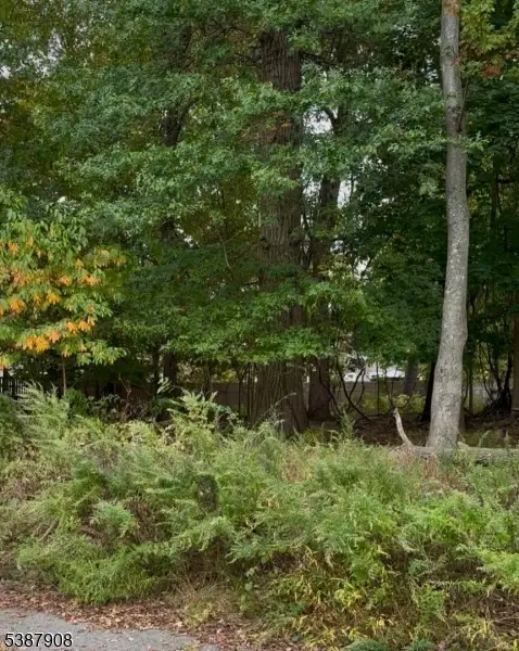 0 OAKWOOD Oakwood Ave, Pequannock, NJ 07440 - #1