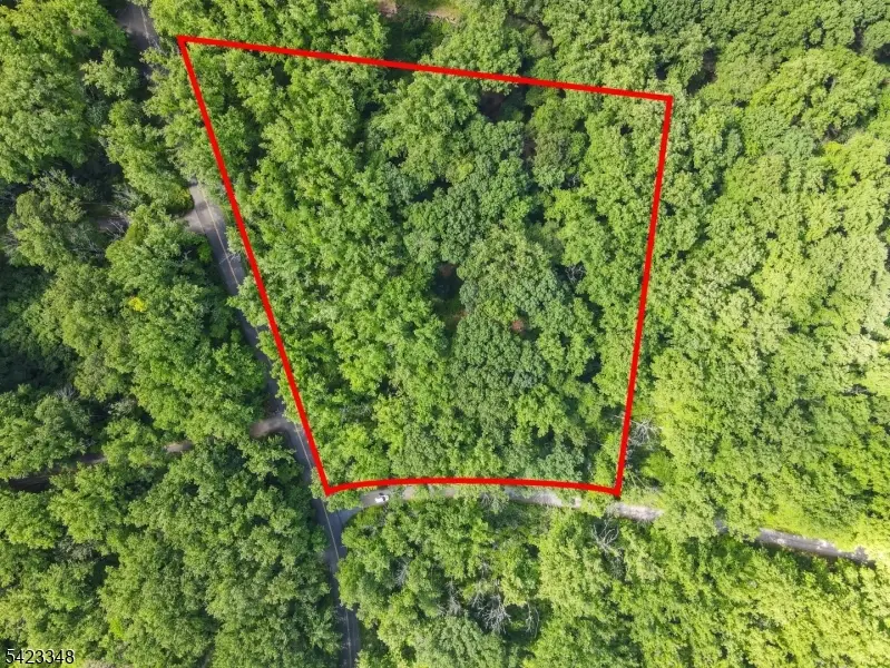 160 Jockey Hollow Rd, Bernardsville, NJ 07924 - #1