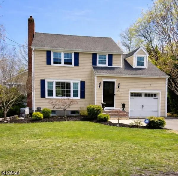 171 Hillside Ave, Chatham Boro, NJ 07928