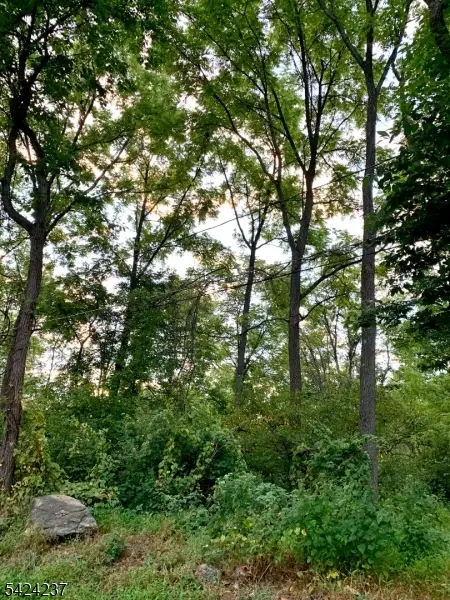 00 W Valley Brook Rd, Washington, NJ 07830 - #1