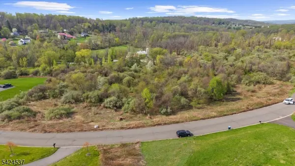 3 Forest View Dr, Holland Twp., NJ 08804