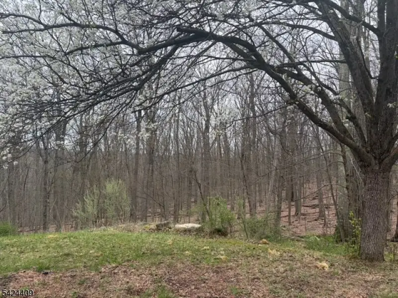 14 Cathy Ln, Mount Olive, NJ 07836 - #2