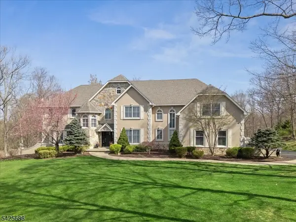 9 Mills Ridge, Sparta Twp., NJ 07871