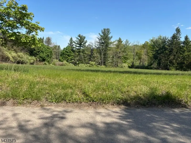184 Stanton Rd, Readington, NJ 08822 - #3