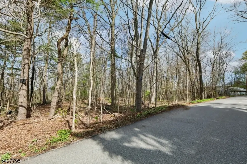 11 Alamoosook Rd, Vernon, NJ 07422 - #1