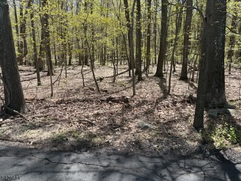 61 Quenby Mountain Rd, Liberty, NJ 07838 - #2