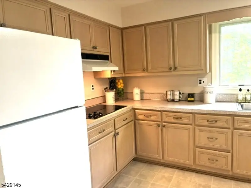 156 Goltra Dr, Liberty Corner, NJ 07920 - #3