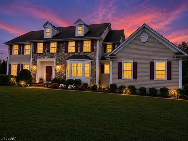 2 David Dr, Hanover Twp., NJ 07981