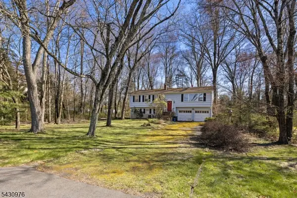 132 Goltra Dr, Bernards Twp., NJ 07920