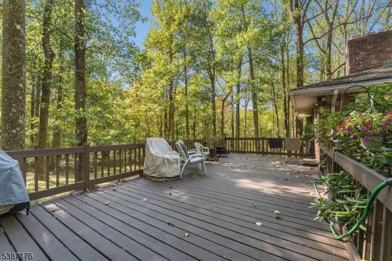 82 Hickory Corner Road, Alexandria, NJ 08848 - #3