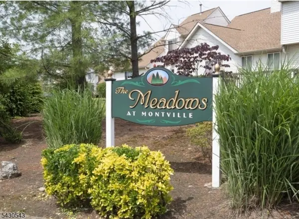3 Freedom Ct, Montville Twp., NJ 07045