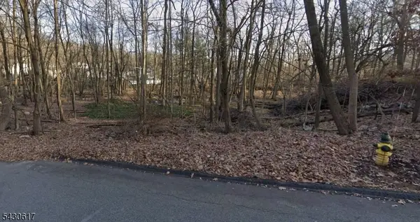 25 Budd Ave, Mount Olive Twp., NJ 07828