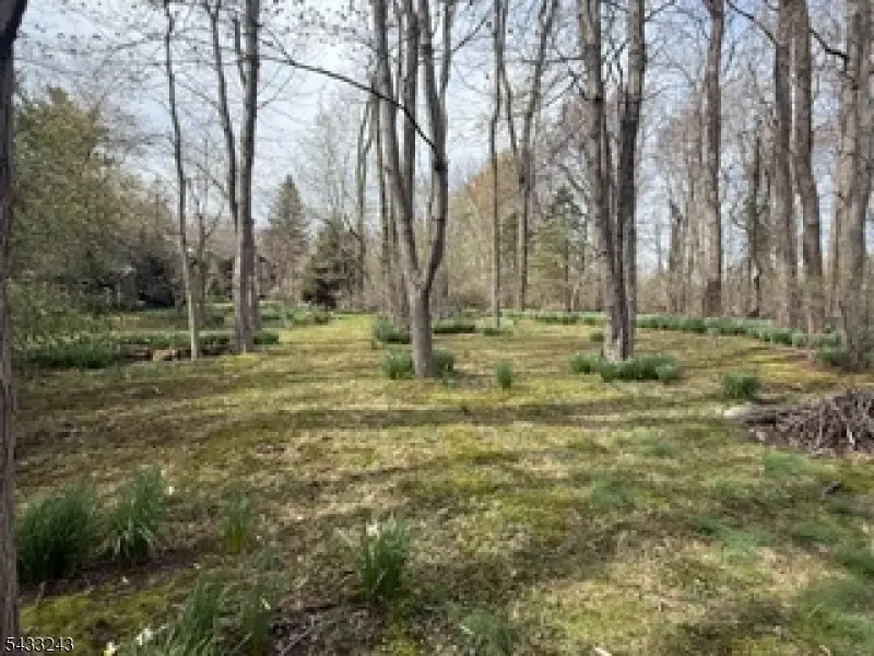 691A Ridgedale Ave, East Hanover, NJ 07936 - #1