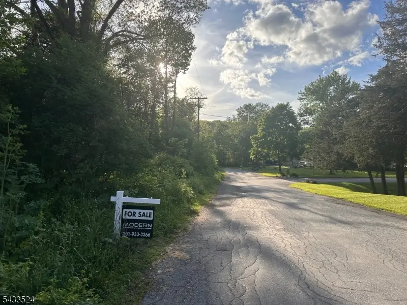 46-48 Richardsville Rd, Ogdensburg, NJ 07439 - #3