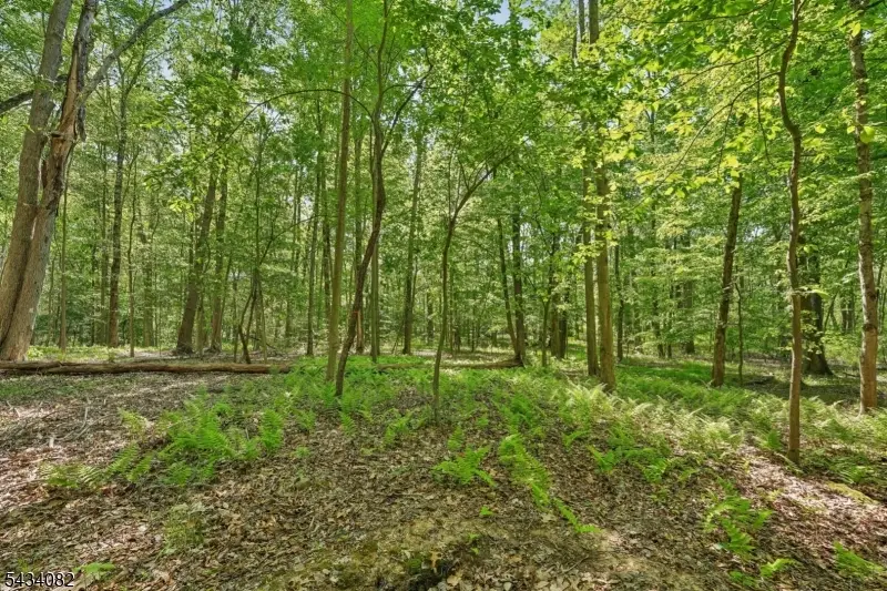 0 Homestead Rd, Gillette, NJ 07933 - #1