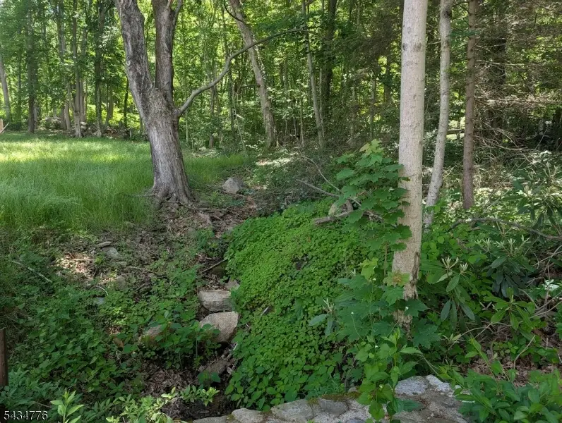 40 Chestnut St, Oxford, NJ 07863 - #3