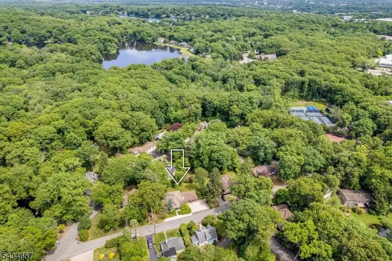 48 Rainbow Trl, Mountain Lakes, NJ 07046 - #3