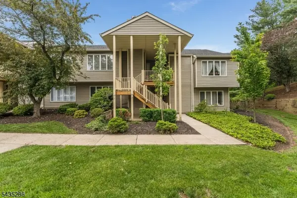 20 Westchester Ter, Clinton Twp., NJ 08801