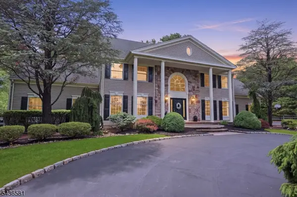 9 Proprietor Ln, Readington Twp., NJ 08889